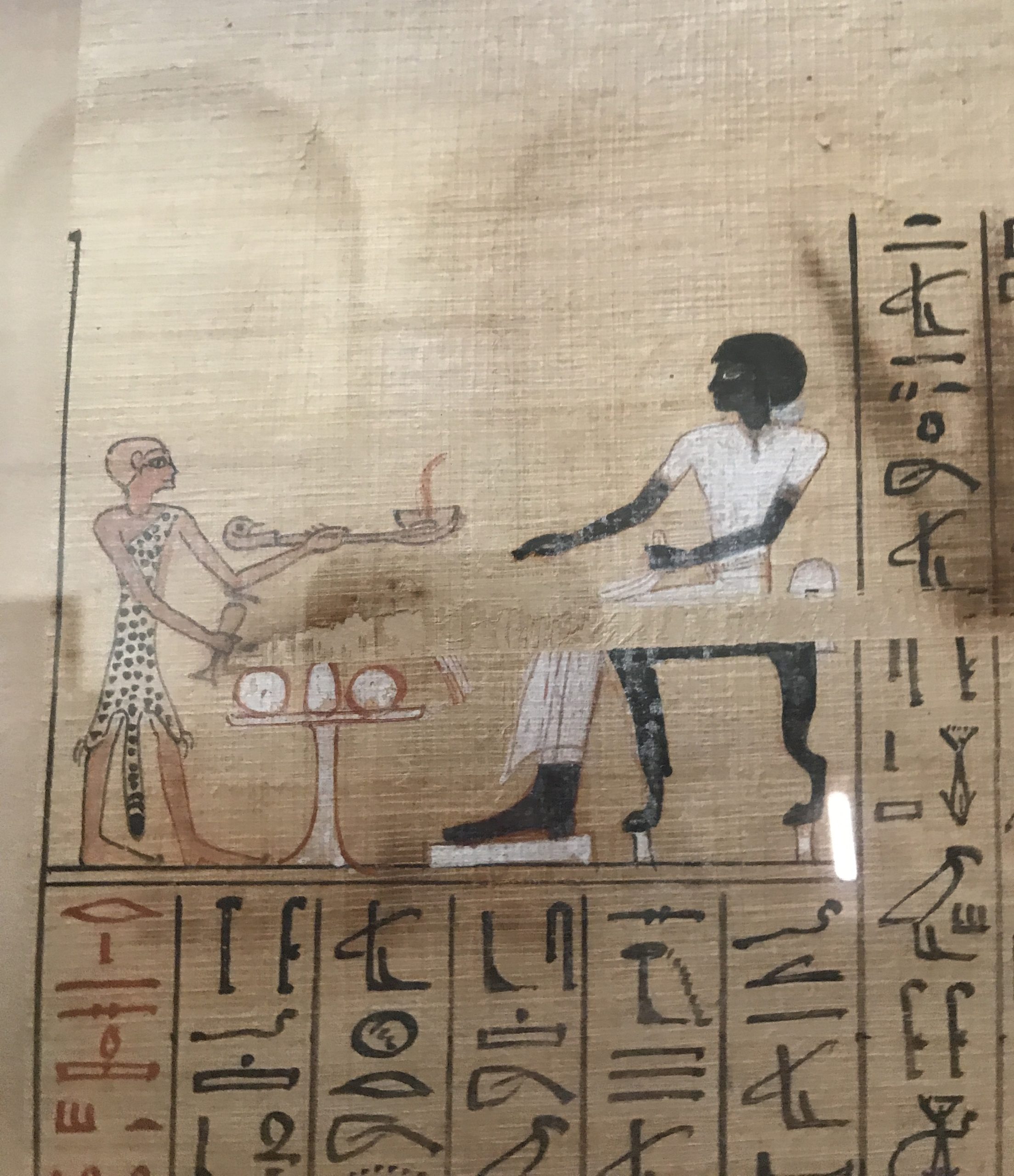 5 Ancient Egyptian Words You Didn't Know You Knew Nile Scribes